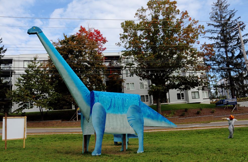 A large blue long-necked dinosaur display with a Pumpkin Person standing to the right in Kentville in 2021.